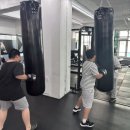 강화 용인대 복싱클럽 이미지