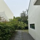 소이연가 | 제주 서귀포 숙소 추천 🏡 소이연가 감성숙소 내돈내산 후기 (조식+뷰 힐링 끝판왕)