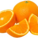 오렌지 이미지
