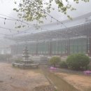 북장사 삼층석탑 | 상주 갑장사 부도전 위치, 가는 길