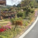 삽시도팬션나라 이미지