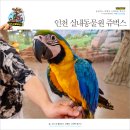 인천아이와실내가볼만한곳 쥬벅스 실내동물원 이색 키즈카페
