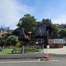 대천통나무리조트 이미지