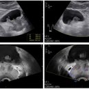 한병리과의원 이미지
