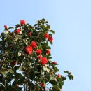 오리떼 편의점 이미지