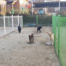 올림푸스원 이미지