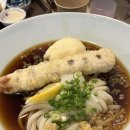 카레이블 | [도도한면] 줄서는 식당 출연한 성수 무신사역 냉우동 맛집 /부카케 우동, 치킨카레 우동 솔직후기