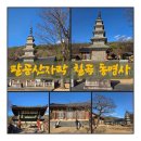 칠곡 송림사 오층전탑 | 팔공산 자락 칠곡 동명의 송림사에서 오층전탑을 만나다