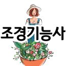 은하조경 이미지