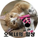 와촌식육식당 진량공단점1 이미지