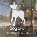 사랑 DOG 차지 이미지