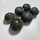청정제주특산물 | 🤎 미니밤호박 추천! 사계절담 제주 미니밤호박 2kg 쪄먹고 샌드위치 만든 솔직 후기 🤎