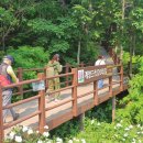 장미원입구 화장실 이미지