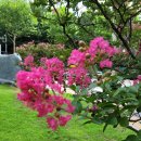 경기도 수원시 권선구 권중로 7 이미지