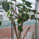 전진공인중개사사무소 이미지