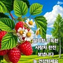 무심 이미지