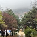 589 | 아삽유치원의 '인천 향교 체험'