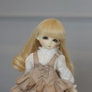 프린세스 돌스 이미지