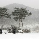 설국 - 서초구 서초중앙로24길 3 | 설국