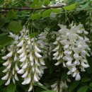 세상(주) 이미지