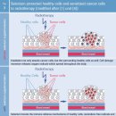 셀레늄: 암환자한테 어떻게 쓰이나? 이미지