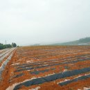 창대농장 이미지