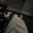 세화약국 앞 이미지