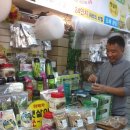 현서네마테차 이미지