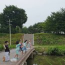 별망초교 이미지