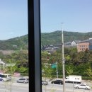 호대권투체육관 이미지