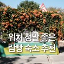 강변 뒷뜰 | 치앙마이 근교 람빵 조용한 숙소 추천, 메모리카페 게스트하우스 위치 최고!