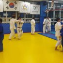 용인대 투혼 유도 클럽 이미지