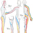 베데스다병원 이미지