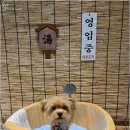 댕욕탕 이미지