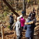 아콘유아숲체험원 이미지