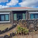 제주독채펜션돌담감성숙소밭담점 | 제주도독채펜션감성숙소돌담너머집밭담점에서만난가장제주다운 하루