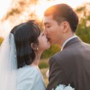 탱고픽처스 이미지