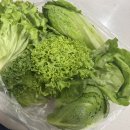 정진농장 이미지