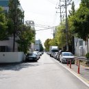 활천꽃무릇숲길(어방동 1077) 이미지