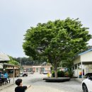 청포대민박 이미지