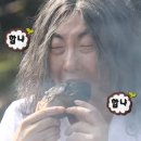 스테이바누 이미지