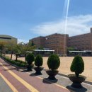 삼목초등학교 | 인천 영종도의 초등학교에서의 주차장도색 시공 후기