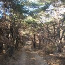 지연농장 이미지