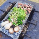 고요스테이 | 청도 고요 숙소 후기, 조용한 감성 스테이, 고양이들과 행복한 시간