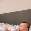 배곧신도시 키즈카페 앨빈(Alvin) 2시간 이용후기 및 채선당 샤브샤브 저녁식사 엠플러스빌딩 활용하기
