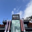 최진희 아트카페 | 백운호수브런치 예술과 힐링이 공존하는 최진희 아트카페 후기