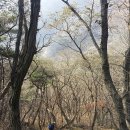 감계힐스테이트 3차 정문 앞 301동 쪽 | (창원북면여행)창원 조롱산~작대산 산행. 산이름이 특별한 근교산 조롱산~작대산 산행
