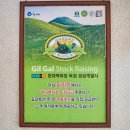 명품토종흑돼지 네이버블로그