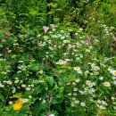 조정훈치과의원 이미지