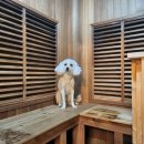 아트센타 앞 지하보도 이미지